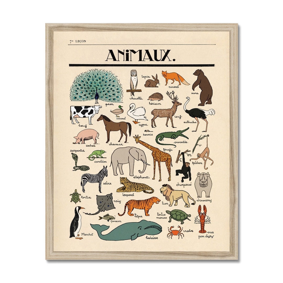 Les Animaux Framed Fine Art Print Vintage Animal Illustrations in