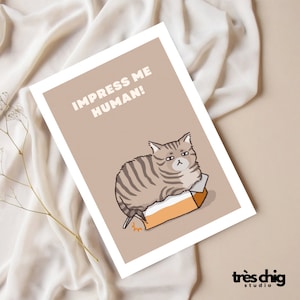 Cartolina "Impress me human Cat" di Très Chig Studio, idea regalo, presente, impressionare, gatto, male, animale domestico, divertente, divertente, scatola, animale