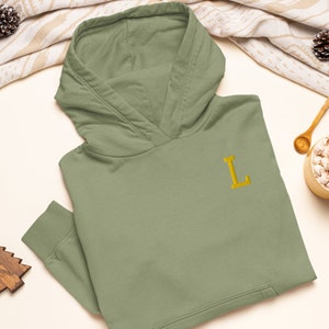 College Letter bestickter Hoodie aus einer schweren Mischung - stilvolle, weiche Baumwolle - verschiedene Farben