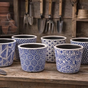 May include: A selection of blue and white patterned ceramic plant pots. The pots display diverse designs, including floral and geometric patterns. The pots are placed on a wooden surface, with gardening tools visible in the background.