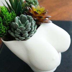 Female Boob Planter | Art Deco & Minimal Home Decor | Perfect Pot for Succulents and House Plants
