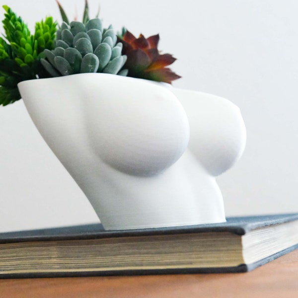 Boobies Planter/Vase main image 1