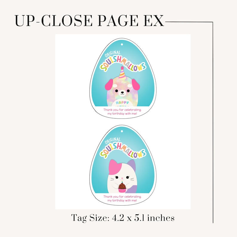 9 Squishmallows Birthday Squad Thank You Bio Tags, INSTANT Download ...