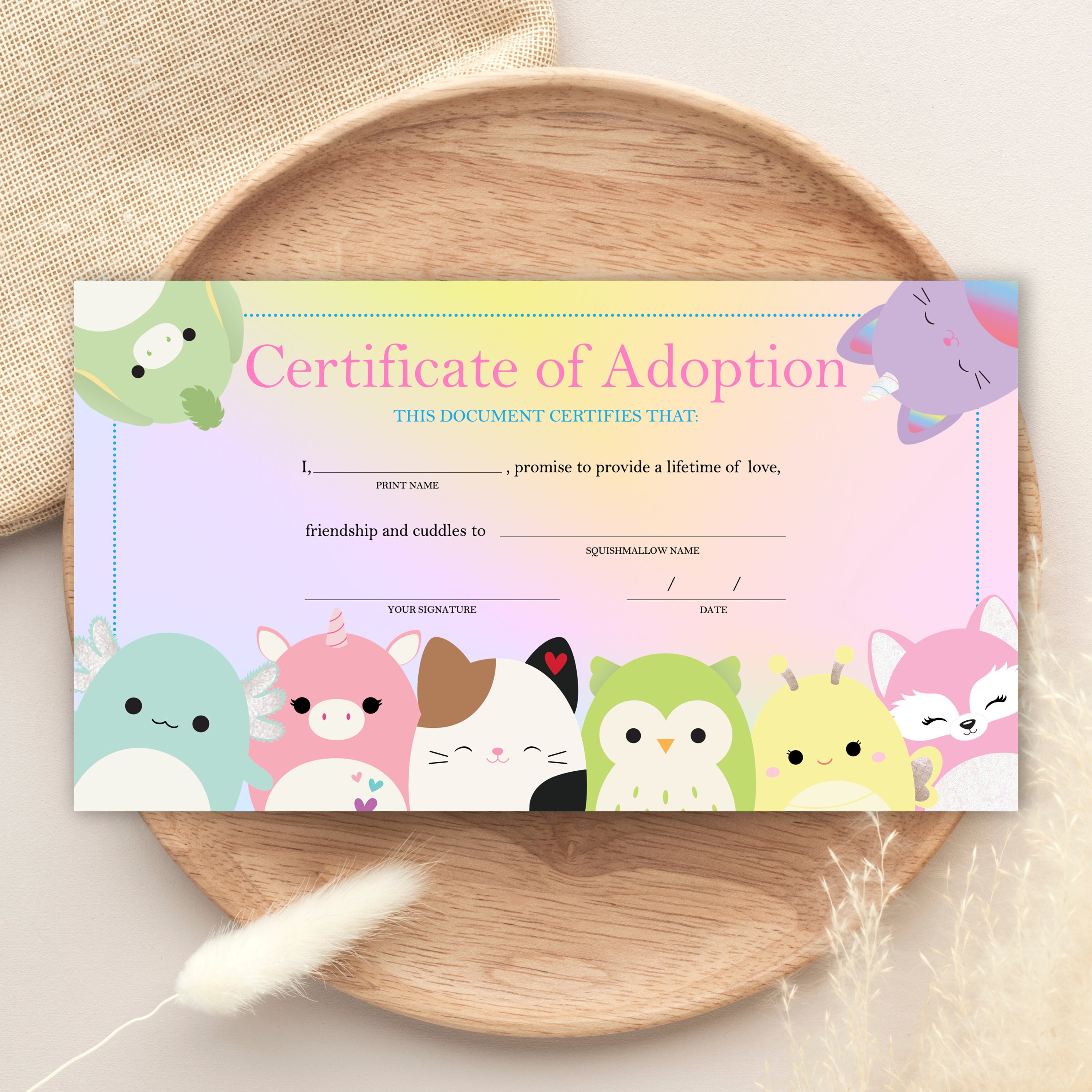 Squishmallows Certificate of Adoption, INSTANT Download
