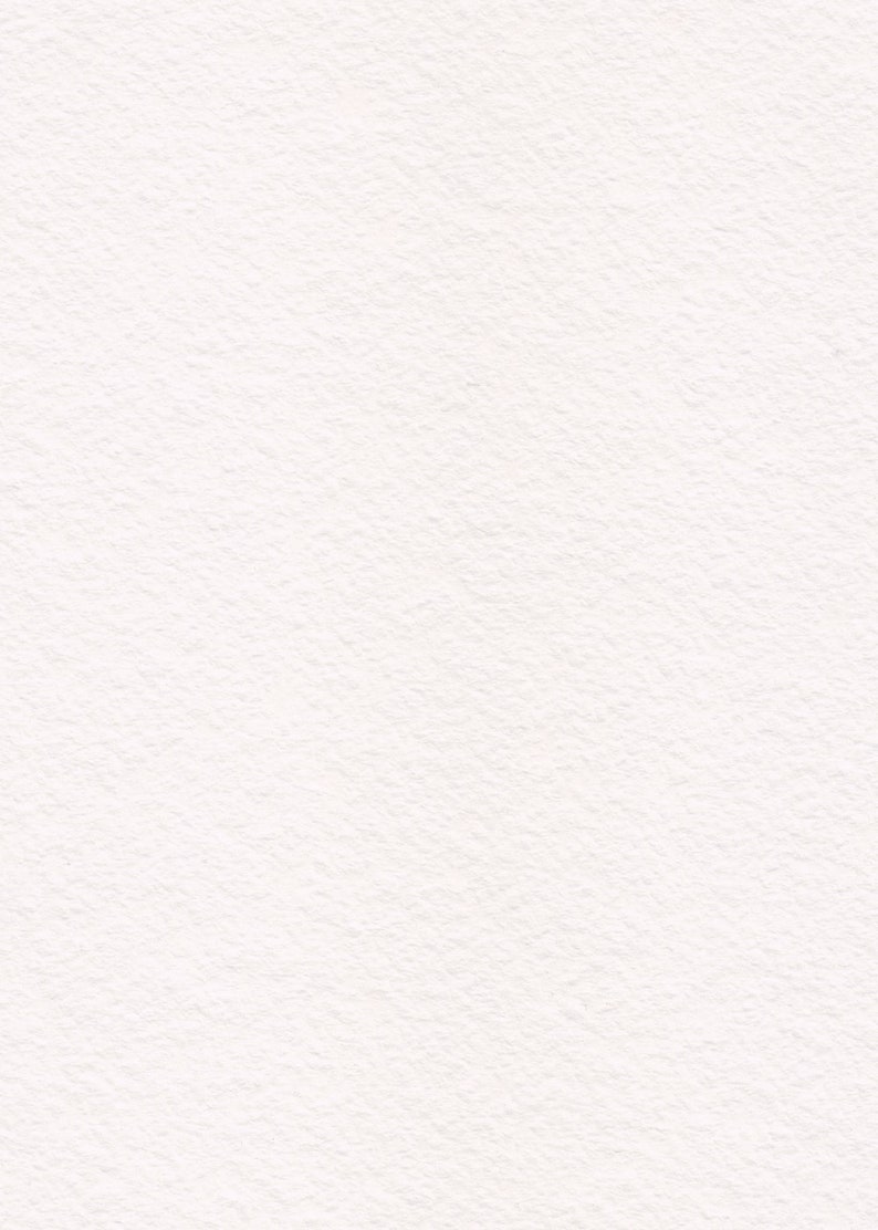 Puede incluir: Un fondo blanco liso con textura.
