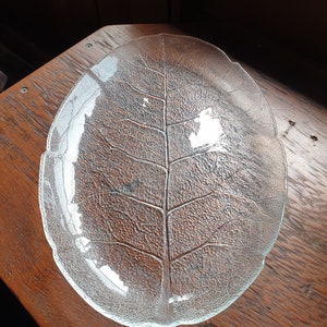 Vintage Arcoroc France Oval Platter Aspen Leaf design