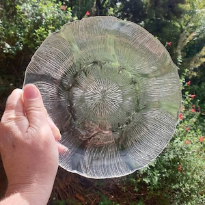 Set of 5 or 6 Vintage Arcoroc France Fleur pattern side plates | 19.5cm diameter | retro sunflower design
