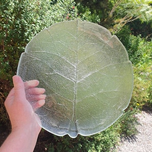 Set of 6 Arcoroc Aspen Leaf Glass Dinner plates (large, 27.5cm diameter/ 11 inches).