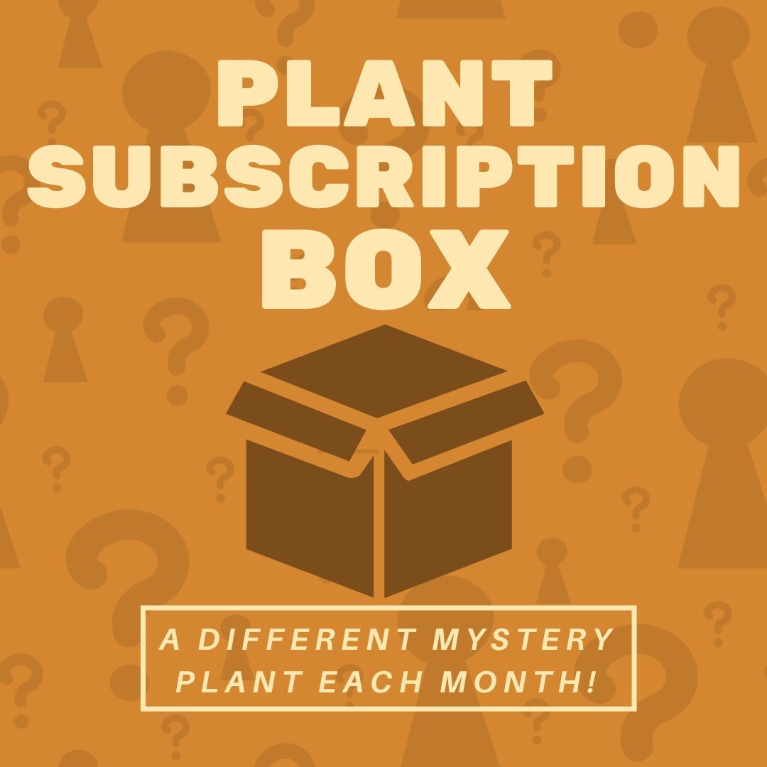 Monthly Plant Subscription Box With a Live surprise Plant in Etsy