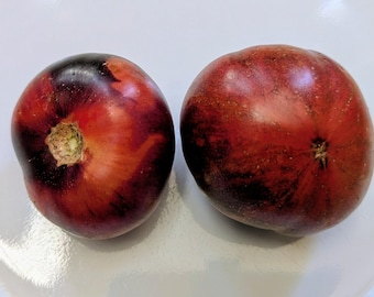 Lovely Lush Tomato Seeds (Organic) | Pink Purple Beefsteak | Wild Boar Farms Heirloom | Anthocyanin Tomato | Garden Seeds