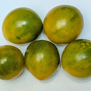 May include: Five green and yellow heirloom tomatoes on a white surface. The tomatoes have a round shape with a smooth skin and a mix of green and yellow colors. The tomatoes are a fresh, natural food item.