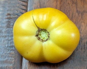 May include: A yellow heirloom tomato with a slightly misshapen, rounded shape. The tomato has a green stem scar at the top.