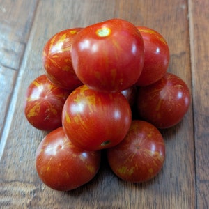 Organic Yipes Stripes Tomato Seeds