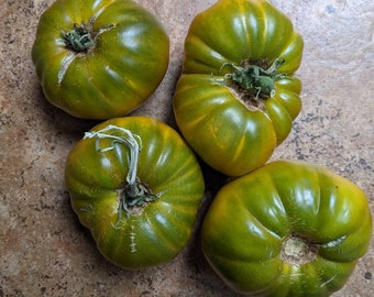 Organic Grub's Mystery Green Tomato Seeds