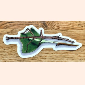 May include: A sticker featuring a detailed illustration of a stick insect resting on a green leaf. The insect is brown with long, slender legs and antennae. The leaf is a vibrant green, and the sticker has a white border.