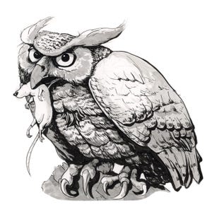 Great Horned Owl Hunt Print