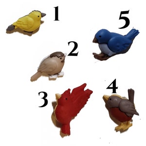 Bird Cover Minders