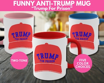 Funny Anti-Trump for Prison Mug, Political Humor Mug, Left Political Gift, Political Satire, Biden 2024 Mug, Election 2024, Birthday Mug