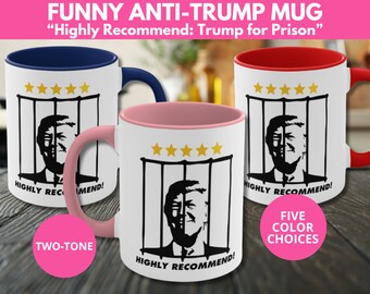 Funny Anti-Trump Mug, Anti Trump Mug, Left Political, Biden Coffee Mug, Political Humor Mug, Election 2024, Democracy Gift, Birthday Gift