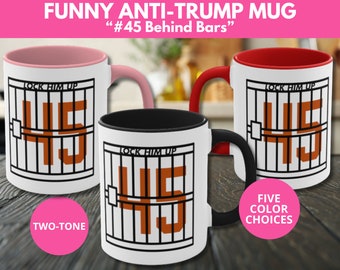 Funny Anti-Trump Lock Him Up Mug, Political Humor Mug, Left Political Gift, Political Satire, Biden 2024 Mug, Election 2024, Birthday Mug