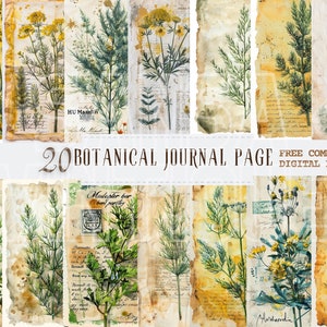 Pagina di diario botanico vintage, carta da diario spazzatura floreale ad acquerello, digitale, set commerciale gratuito con stampa di album, carta retrò con bordi strappati