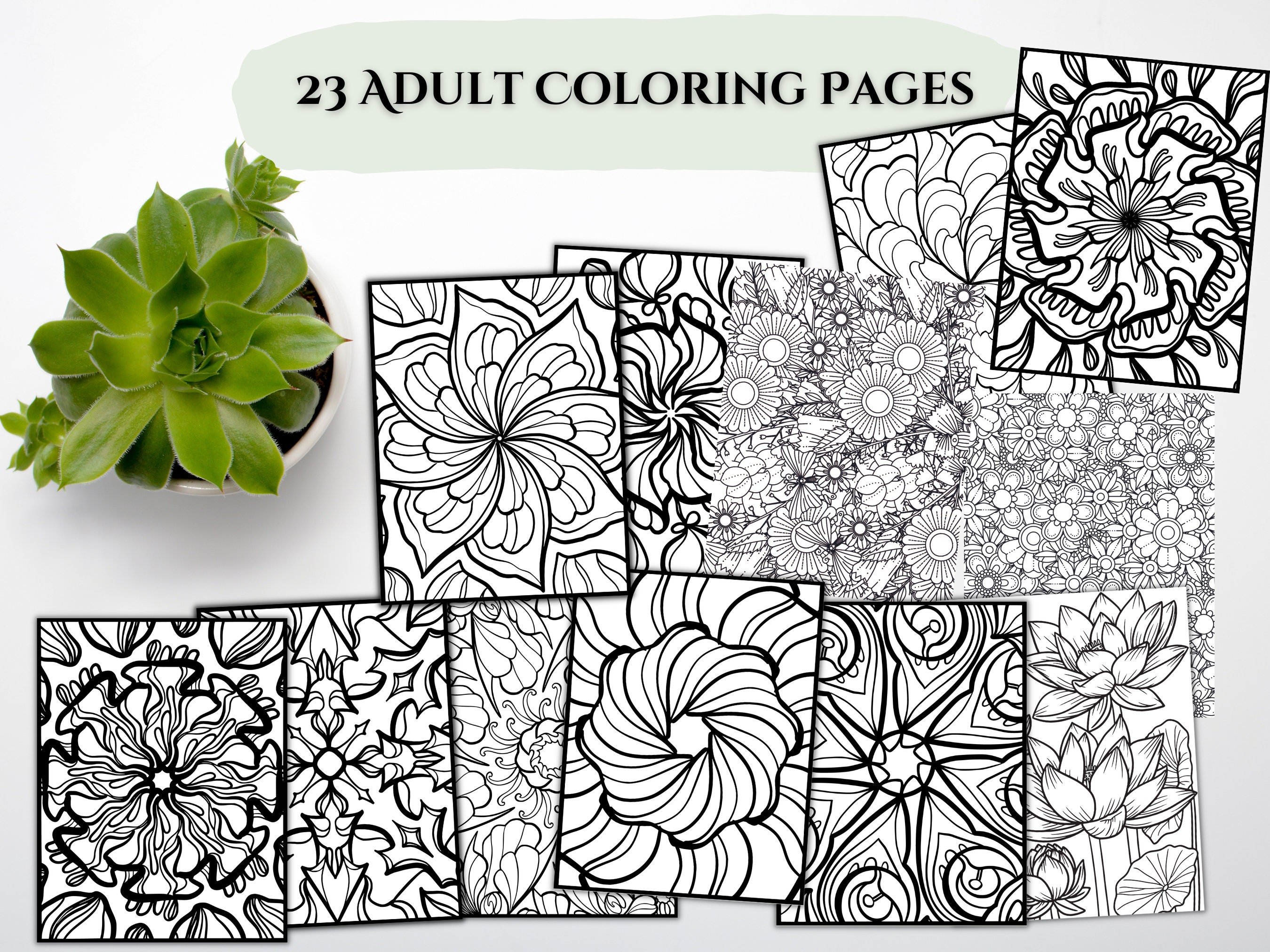Adult Coloring Pages Printable PDF Digital Download 8.5x11 Mandala - Etsy