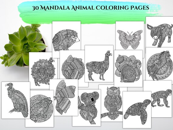 Coloring Pages Printable PDF Digital Download 8.5x11 - Etsy