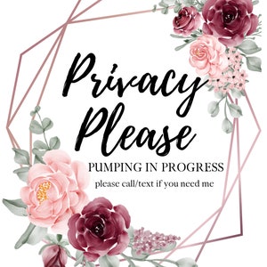 Pumping Sign PDF, Baby Shower Gift, Printable PDF, Breastfeeding Sign, Privacy Please PDF, Privacy for Mom