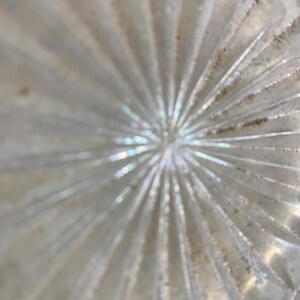 May include: A clear glass plate featuring a radial sunburst pattern with raised ridges extending from the center to the outer edge. The glass has a subtle iridescent sheen and shows small brown textured deposits within the grooves.