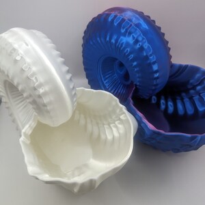 Può includere: Due vasi a forma di conchiglia di nautilus, uno bianco e uno blu con un riflesso iridescente viola. Il vaso bianco è aperto e il vaso blu è chiuso.