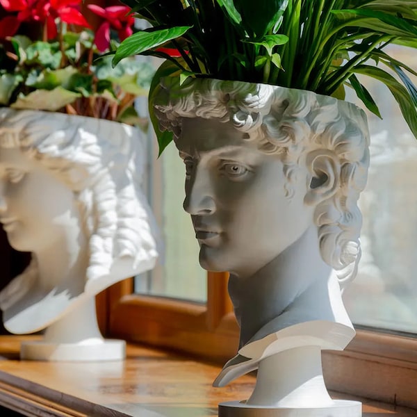 Jardinière en forme de tête de David, sculpture imprimée, décoration de jardin moderne, cache-pot unique, jardinière d'intérieur et d'extérieur, cadeau imprimable imprimé en 3D