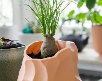 Marble Carved Stone 3D Printed Planter, Modern Home Decor, Succulent Pot, Indoor Plant Holder