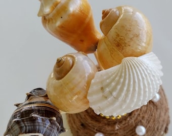 Custom Shell Bouquet: Coastal Home Decor