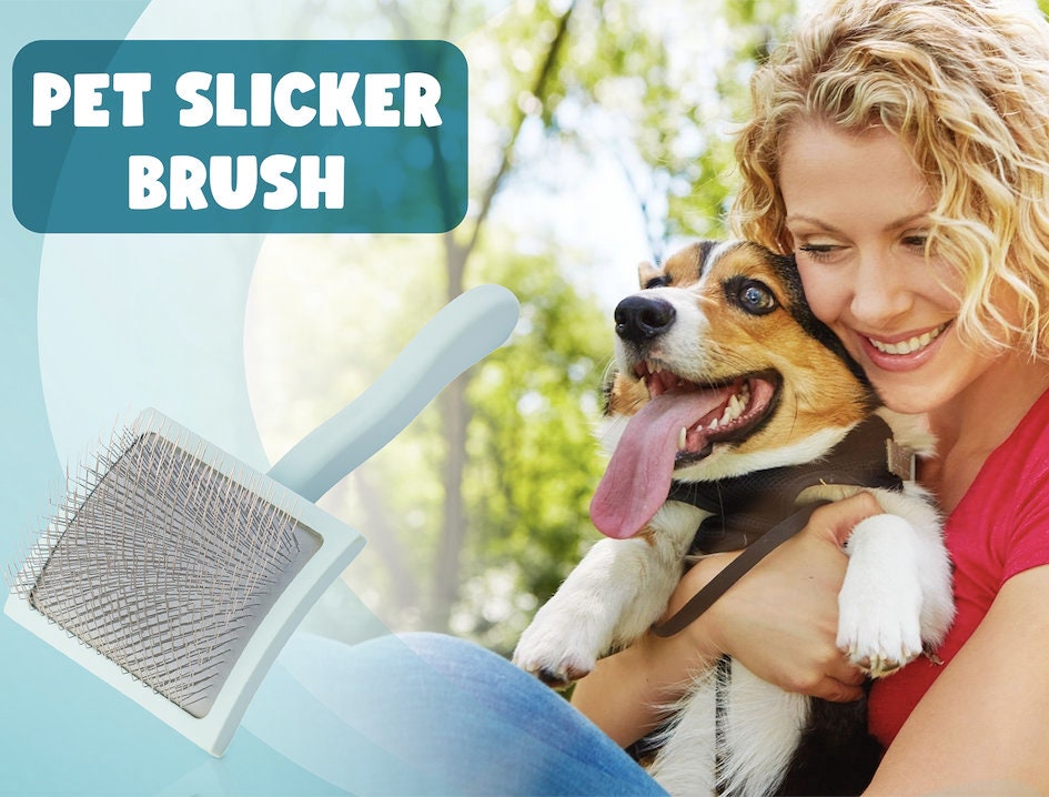 Flying Pawfect Grooming Brush Baby Blue Brush Dog Grooming Brush Large