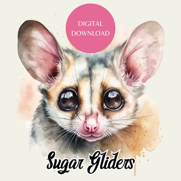 Watercolour sugar Glider clip art sugar glider junk journal bundle Sugar Glider png card making download paper crafts scrapbooking png set