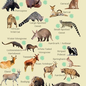 Kruger National Park Guide 2nd edition ENGLISH image 7