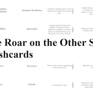 Classical Conversations Challenge 3 The Roar on the Other Side Flashcards