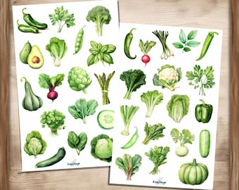 Sticker set green vegetables and salad