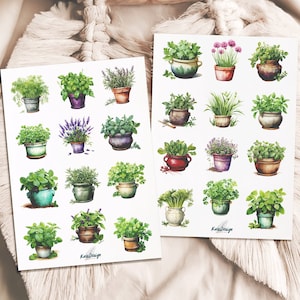 Ensemble d'autocollants pour pots d'herbes aromatiques, herbes de cuisine