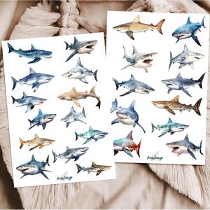 Sticker Set Haie