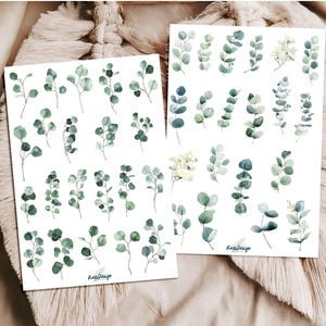 Sticker Set Eukalyptus Blätter