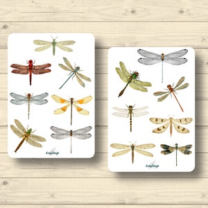 Sticker Set Libellen vintage