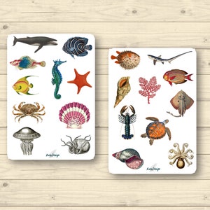 Sticker Set vintage Meerestiere