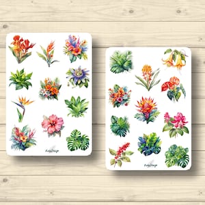 Sticker Set tropische Pflanzen Monstera Blumen Blumensträuße, Aufkleber Planner Stickers, cute Scrapbooking Stickers