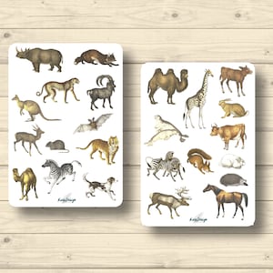 Sticker Set Tiere vintage Wildtiere Safaritiere, Aufkleber Planner Stickers, cute Scrapbooking Stickers