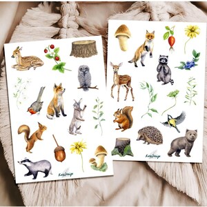 Conjunto de pegatinas de animales y plantas del bosque.