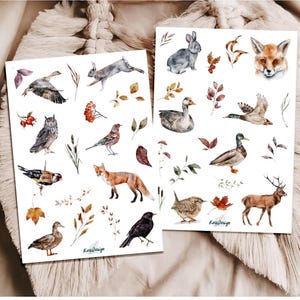 Set de pegatinas animales del bosque
