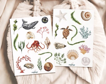 Underwater Sticker Set Sea Animals & Sea Plants – Octopus, Whale, Turtle, Shells, Coral and Algae Illustrations