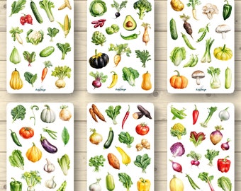 Sticker set big bundle vegetables, cabbage, salads 6 pages