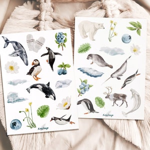 Set de pegatinas animales árticos